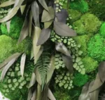 tablou rotund adiant fern decorat cu muschi bombati si ferigi stabilizate ta60adt DvV.jpg