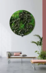 tablou rotund adiant fern decorat cu muschi bombati si ferigi stabilizate ta60adt zpo.jpg