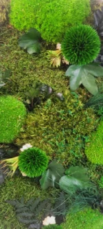 tablou rotund wildnature decorat cu muschi plat si plante stabilizate ta50wil 8LC.jpg