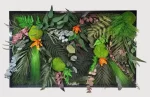 tablou tropical breeze decorat cu muschi ferigi si eucalipt stabilizat tb60trb TKL.jpg