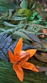 tablou tropical decorat cu muschi ferigi si plante stabilizate tb10tro TkK.jpg