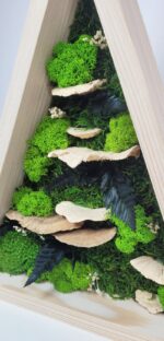 triunghi decorativ din lemn cu muschi si licheni tr27mos rHl1 triunghi decorativ din lemn cu muschi si licheni tr27mos rHl1