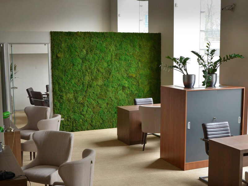 Perete verde Flat Moss cu muschi stabilizati1