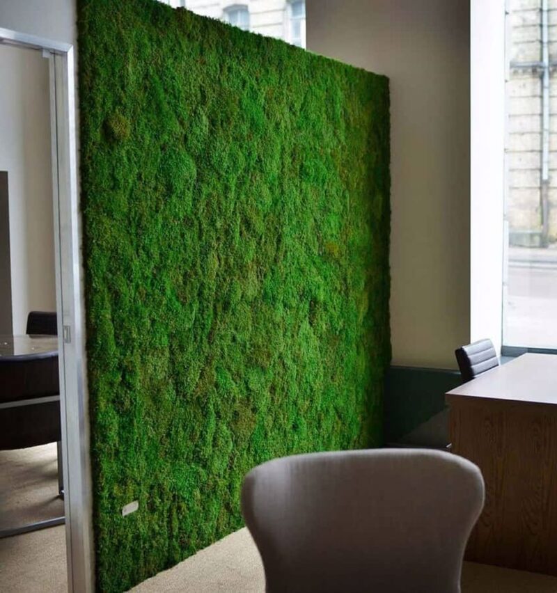 Perete verde Flat Moss cu muschi stabilizati2