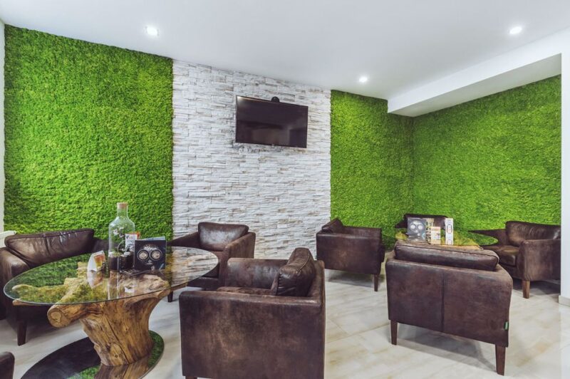 Perete verde din licheni stabilizati4