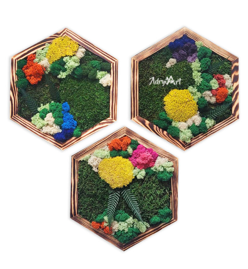 Set 3 Hexagoane decorate cu licheni si muschi2