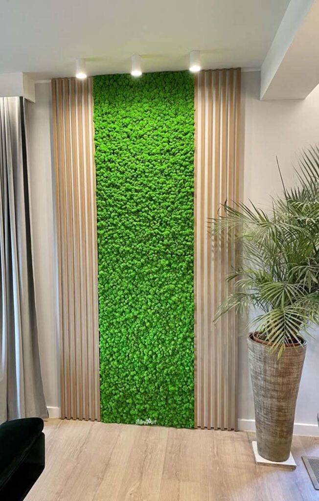 perete licheni stabilizati