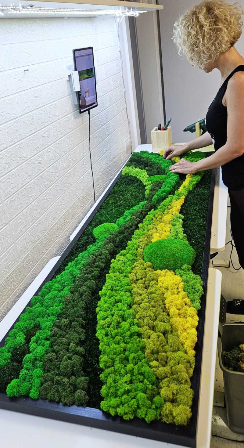 tablou cu licheni si muschi bombati cm