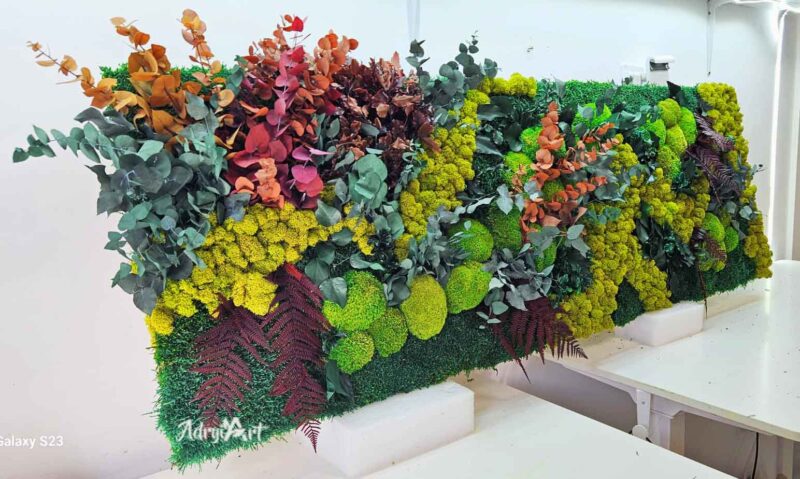 panou cu licheni muschi si plante colorate2