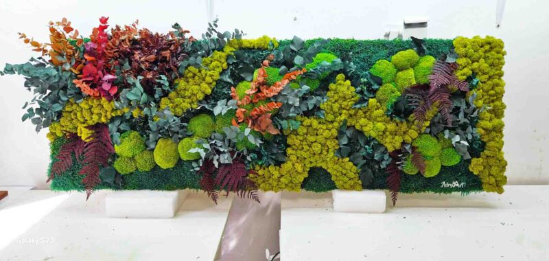 panou cu licheni muschi si plante colorate3