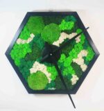 tablou hexagon cu licheni model ceas1