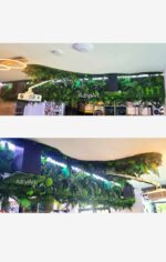 tavan decorat cu muschi si plante