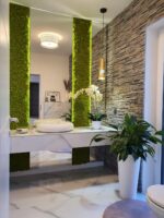 baia cu licheni baia cu licheni