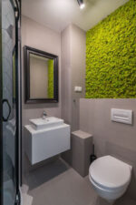 panou licheni baie3 panou licheni baie3