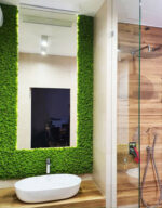 panou licheni baie4 panou licheni baie4