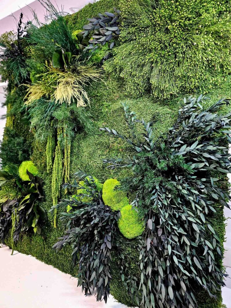 panou parviola cu muschi si plante stabilizate2