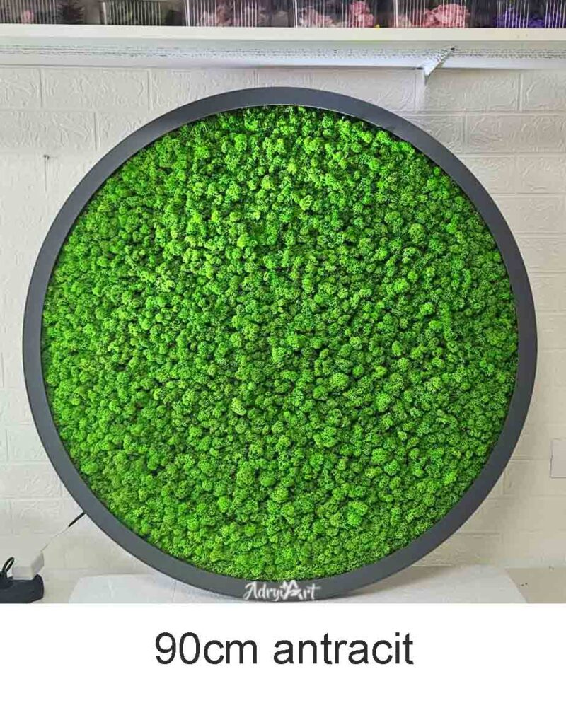 tablou rotund cu licheni si led