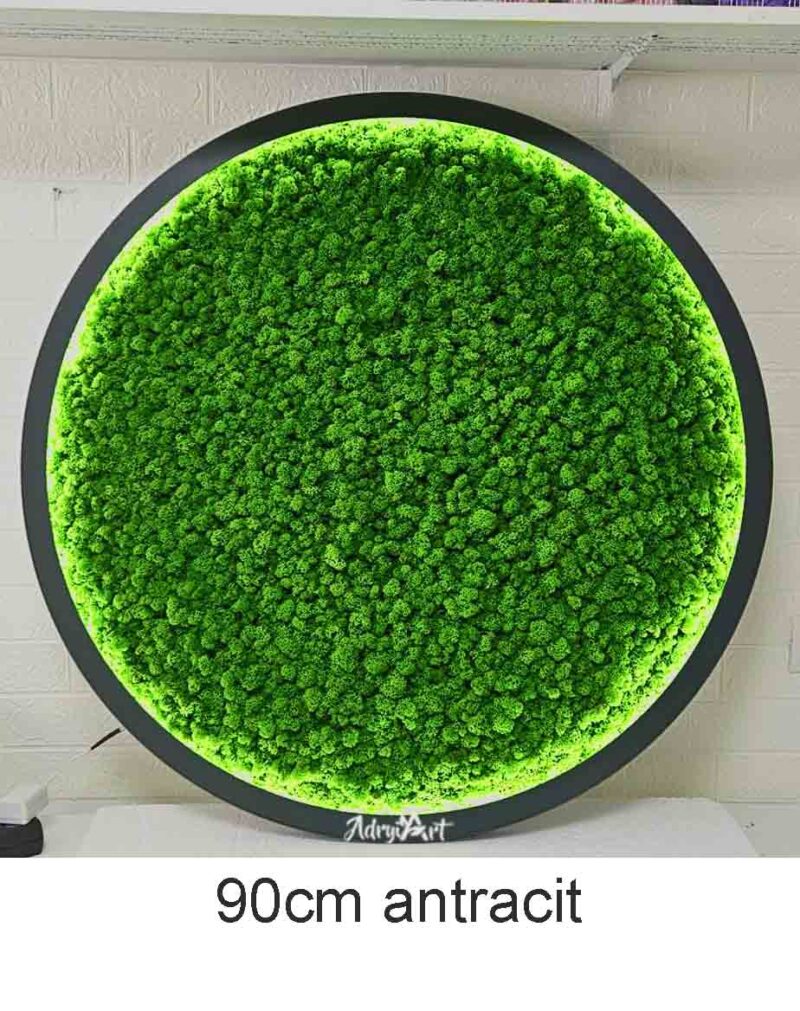 tablou rotund cu licheni si led