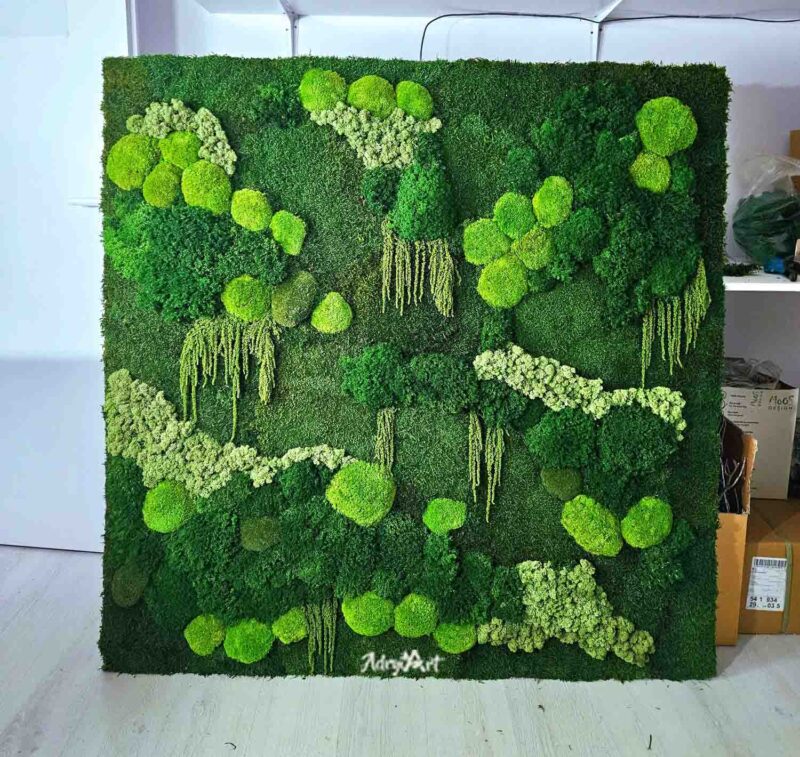 perete verde cu muschi cret si licheni2