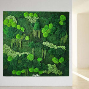 perete verde curly