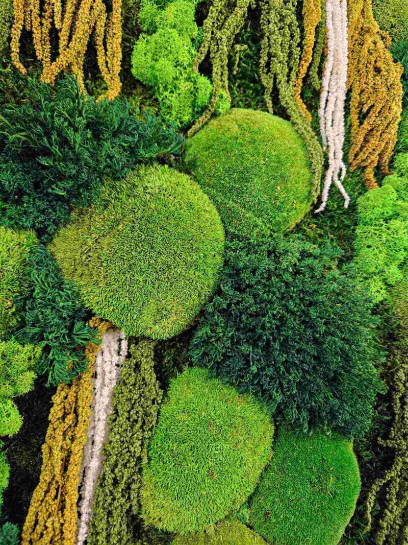 tablou cu licheni si amaranthus alb2