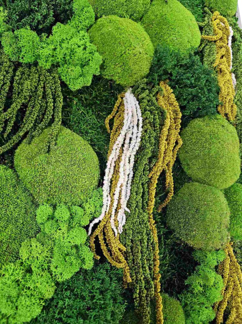 tablou cu licheni si amaranthus alb3