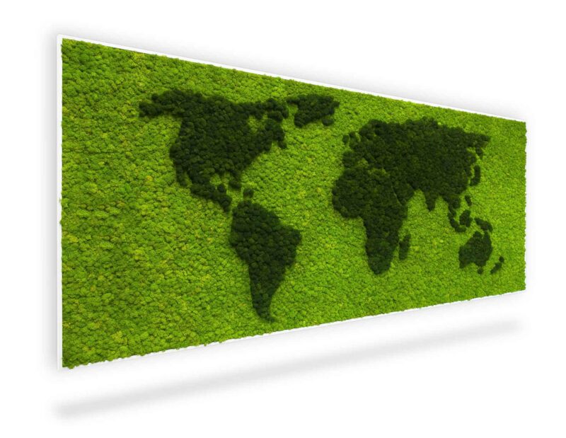 tablou harta lumii din licheni2