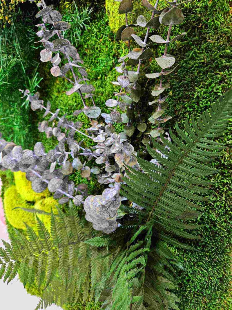 perete verde cu muschi si plante stabilizate rich3