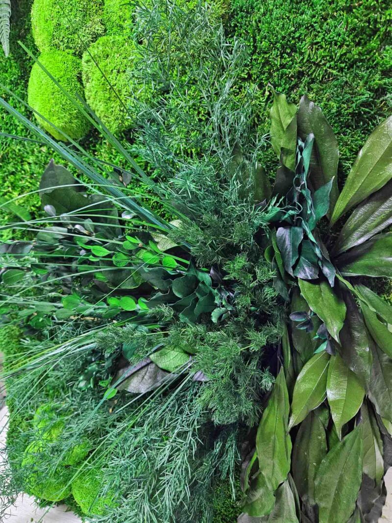 perete verde cu muschi si plante stabilizate3