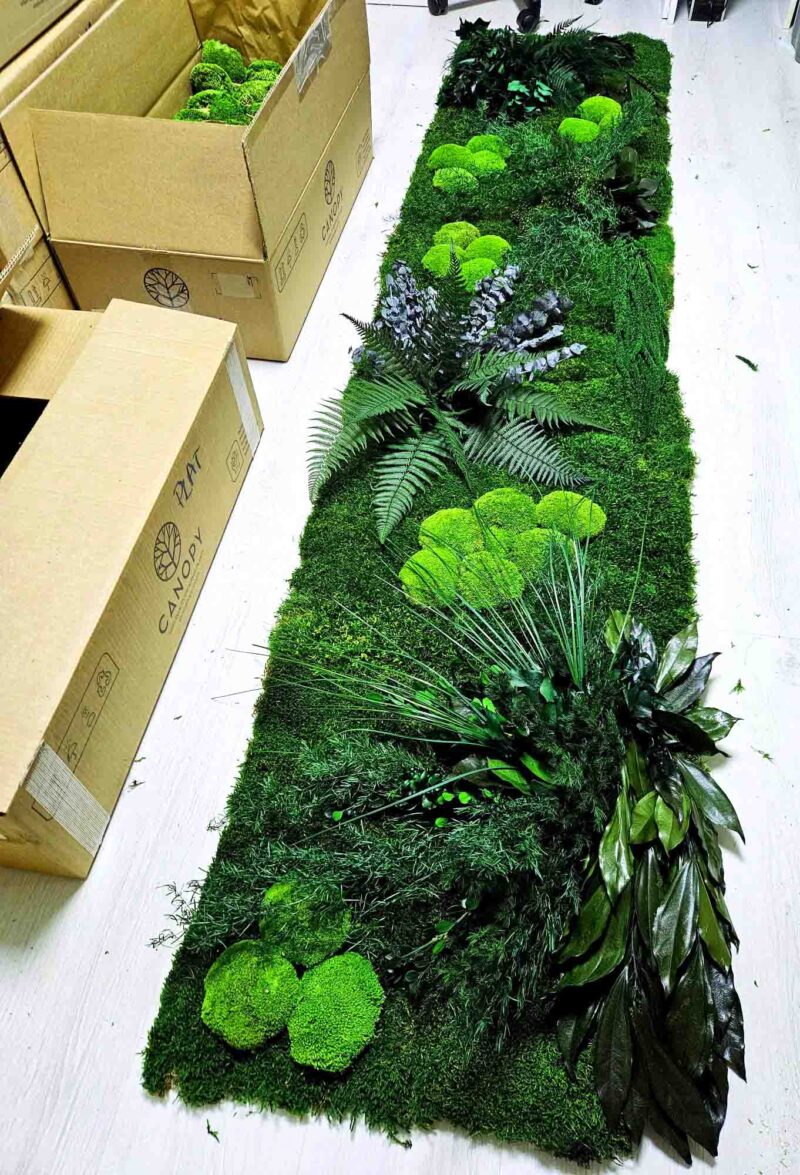perete verde cu muschi si plante stabilizate4