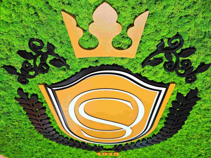 tablou cu licheni si logo liceeu3