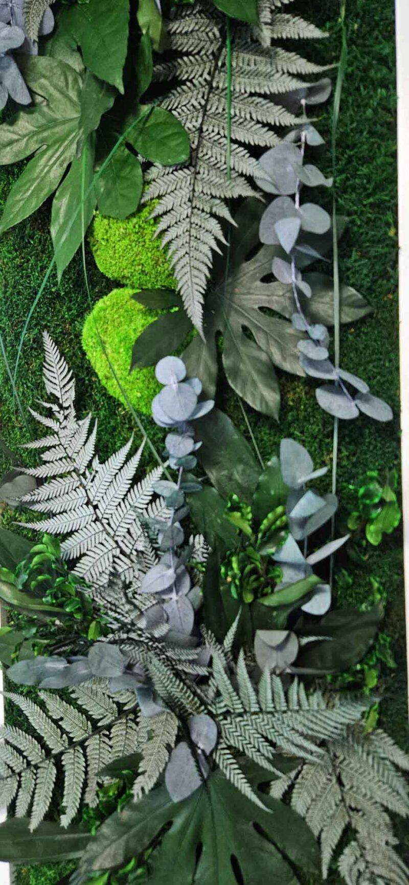 tablou cu licheni si plante stabilizate aralia