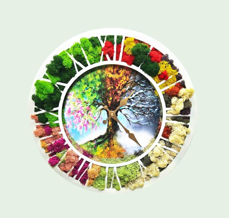 ceas 4 anotimpuri cu licheni multicolori1