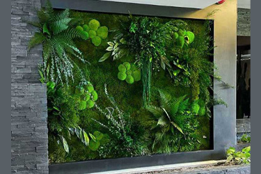 perete verde cu plante