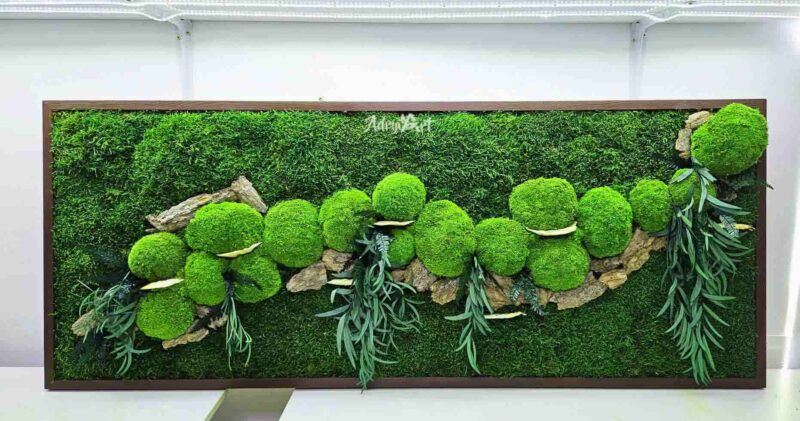 tablou cu muschi si ciuperci2