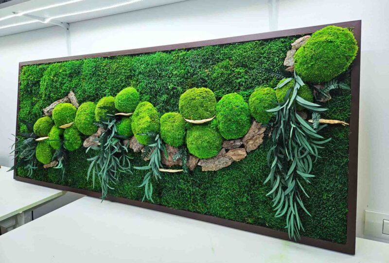 tablou cu muschi si ciuperci3