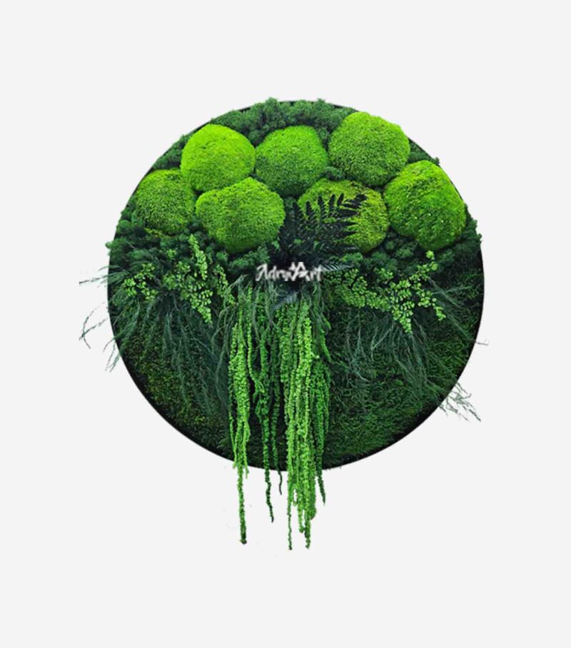 tablou energy cu lichei si amaranthus2