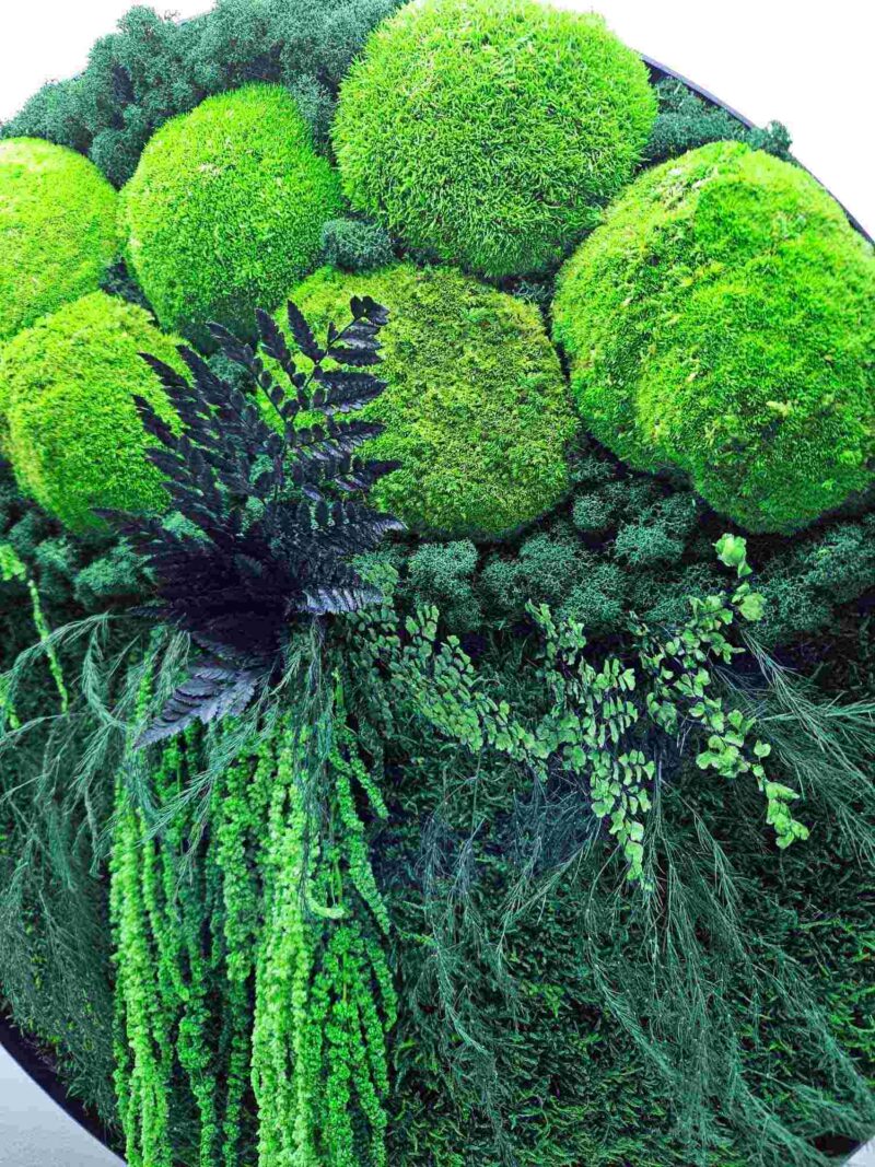 tablou energy cu lichei si amaranthus3