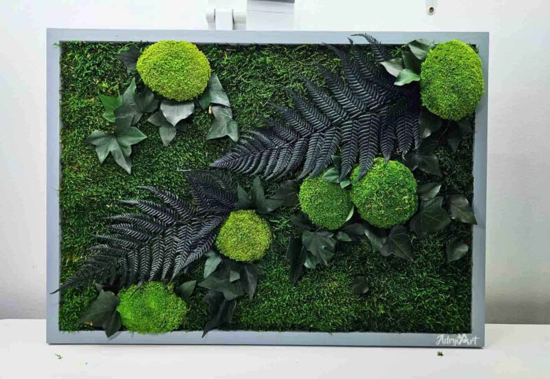 tablou ivy cu muschi ferigi si iedera2