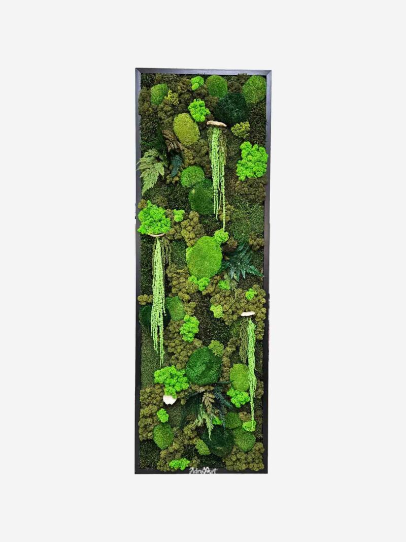 tablou mossolive cu licheni si muschi2