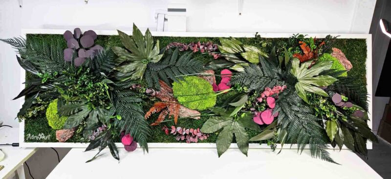 tablou natural colorfull cu plante stabilizate colorate3