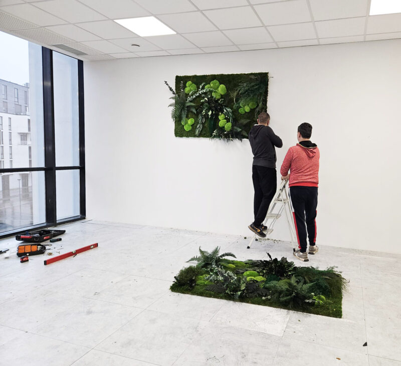 perete verde richfern cu plante stabilizate si muschi1