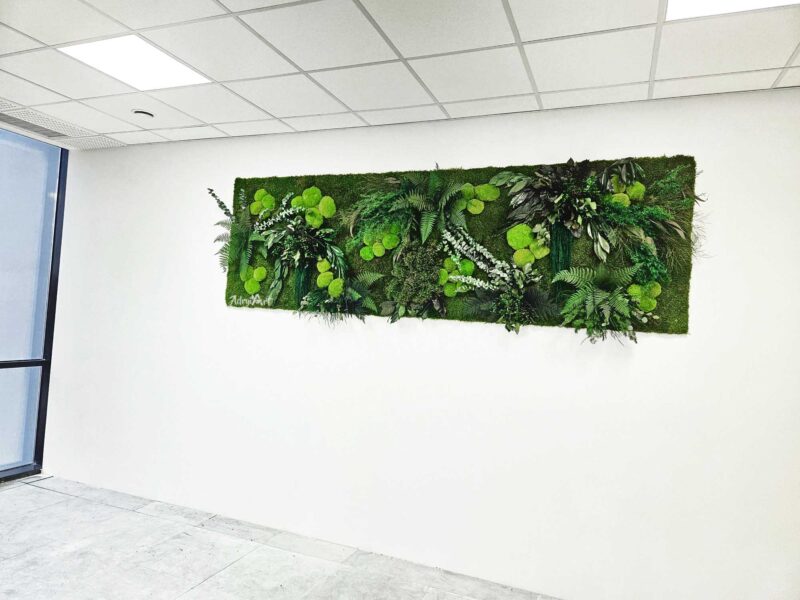 perete verde richfern cu plante stabilizate si muschi2