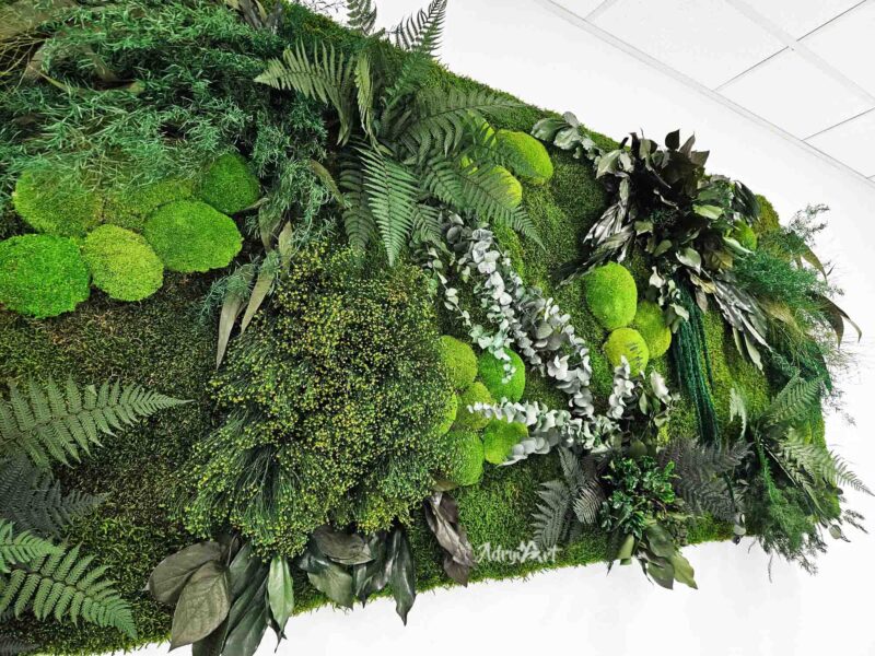 perete verde richfern cu plante stabilizate si muschi4