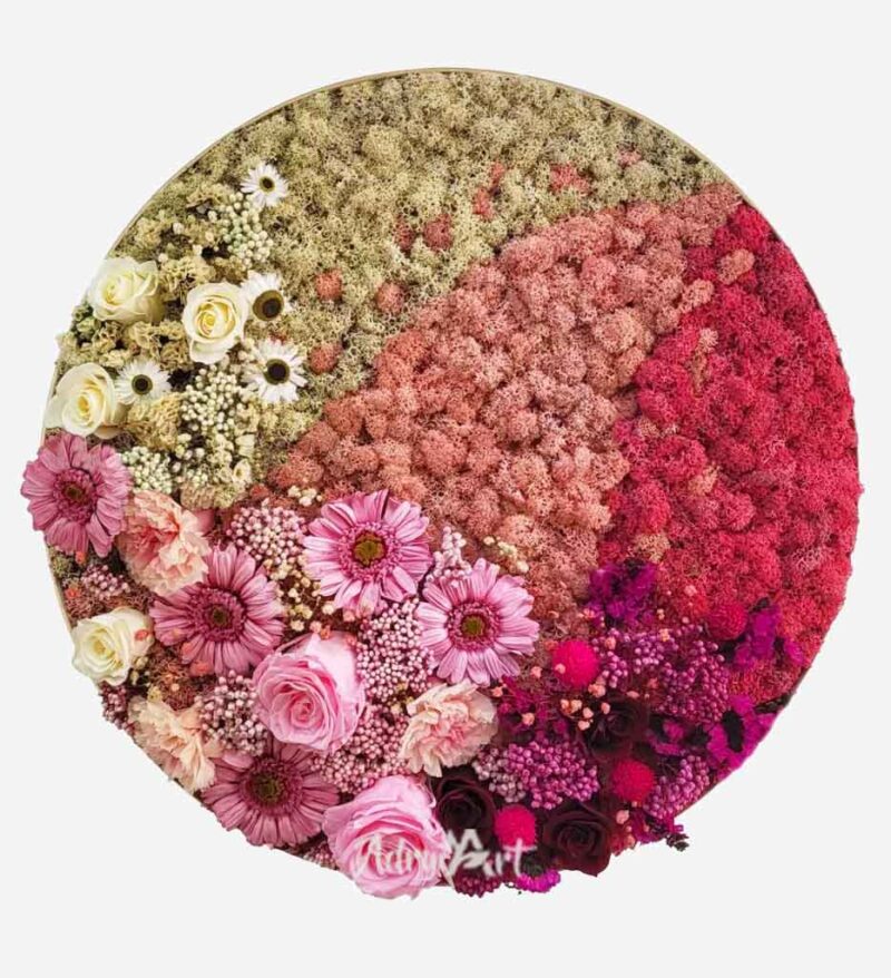 tablou gerbera cu licheni si flori criogenate3