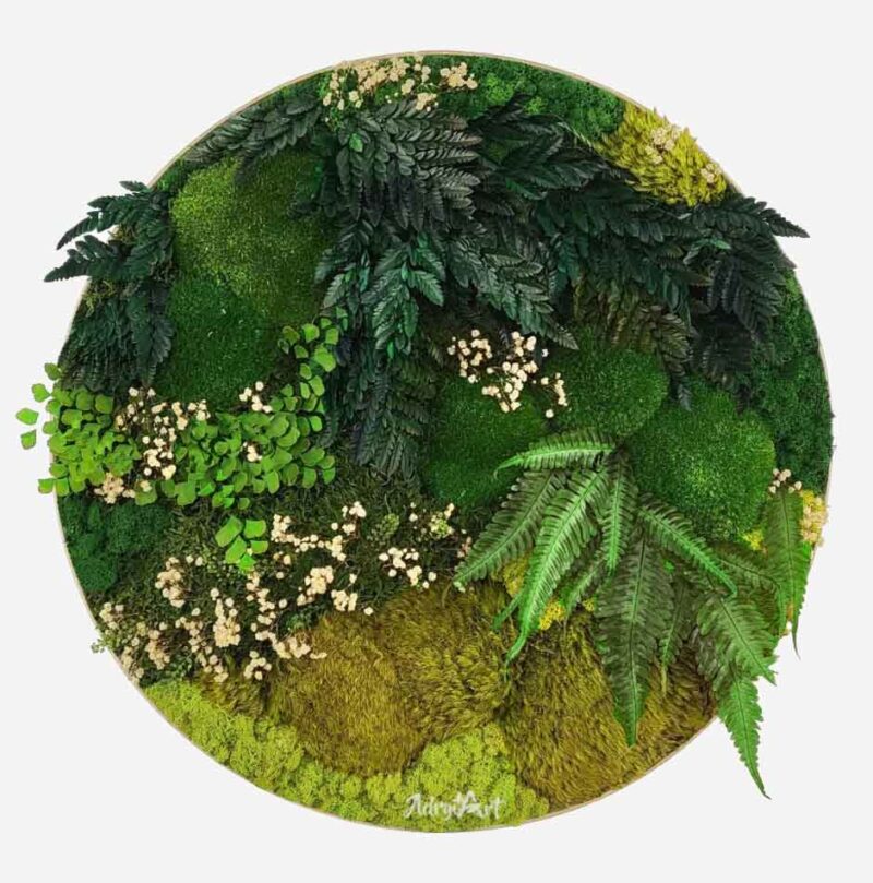 tablou rotund cu feriga si muschi mood1