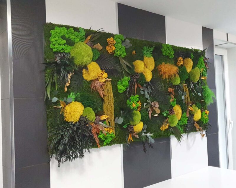 panou cu licheni si plante stabilizate3