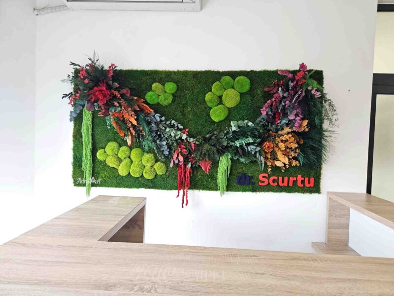 panou cu muschi si plante colorate3