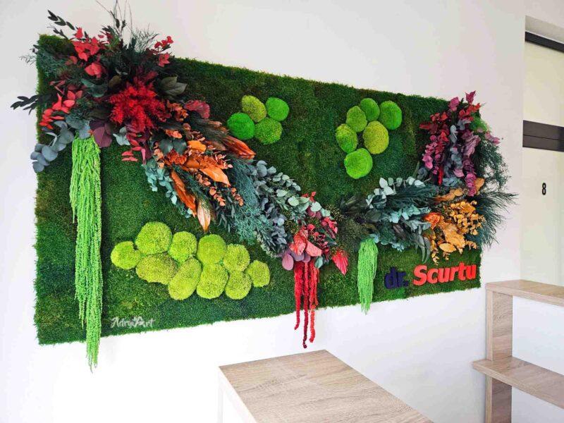 panou cu muschi si plante colorate6
