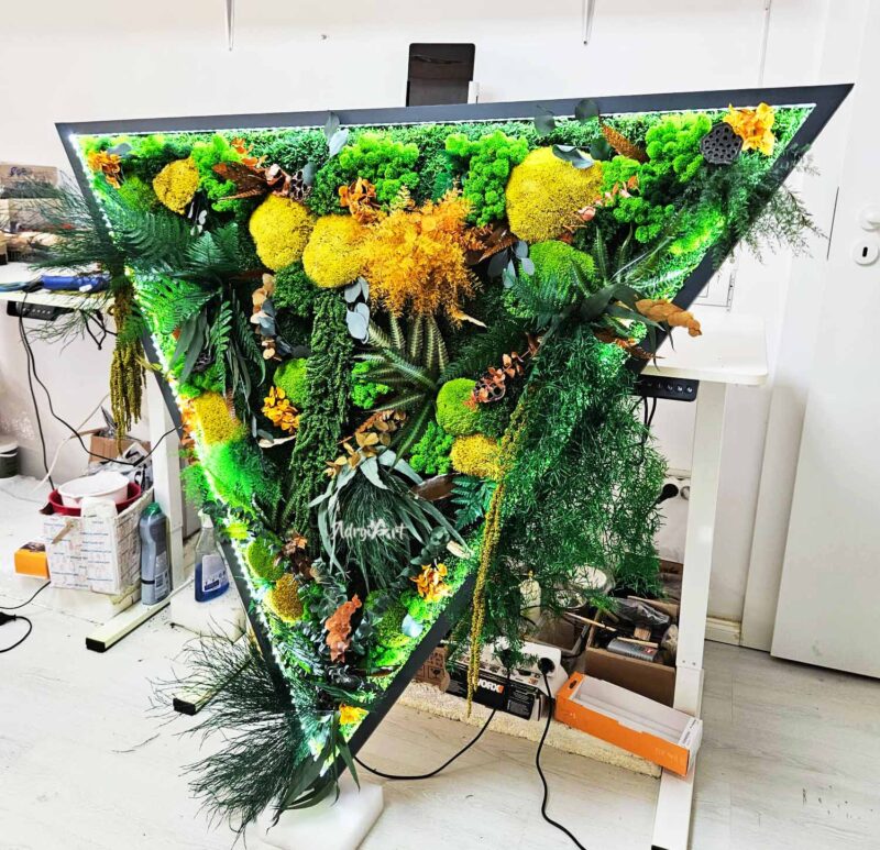 TABLOU TRIUNGHI CU MUSCHI SI PLANTE STABILIZATE2